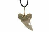 Fossil Mako Tooth Necklace - Bakersfield, California #95254-1